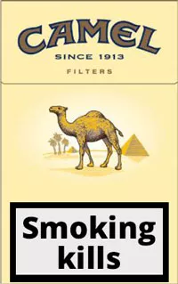 Camel Filters